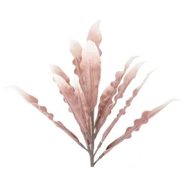 ALOE ROSA Ø 30X98 10 cm